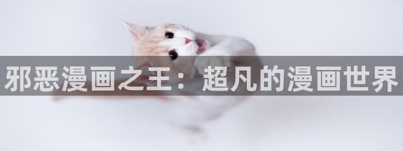 韩漫画男生：邪恶漫画之王：超凡的漫画世界
