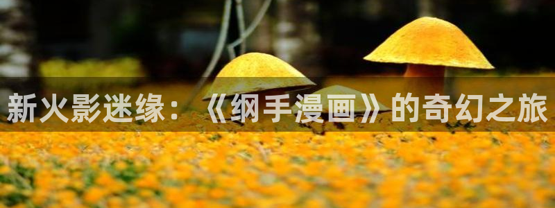 韩漫日漫漫画免费阅读看漫画下拉：新火影迷缘：《纲手漫画》的奇幻之旅