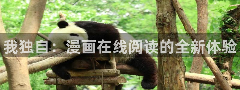 韩漫在线网页：我独自：漫画在线阅读的全新体验