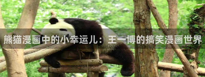 韩漫大全在线阅读：熊猫漫画中的小幸运儿：王一博的搞笑漫画世界