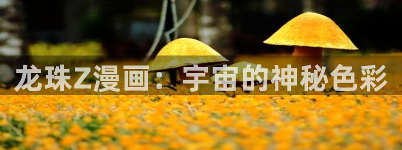 韩漫无删减在线漫画最新：龙珠Z漫画：宇宙的神秘色彩