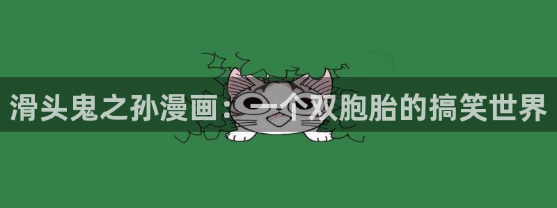 bl韩漫免费漫画：滑头鬼之孙漫画：一个双胞胎的搞笑世界