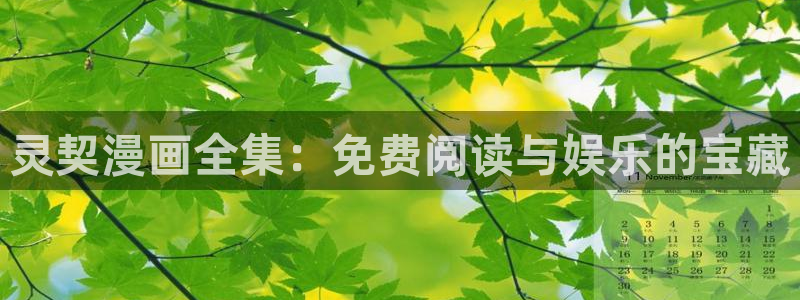 看韩漫的漫画软件免费：灵契漫画全集：免费阅读与娱乐的宝藏